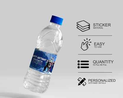 Frozen Theme Water Bottle Sticker
