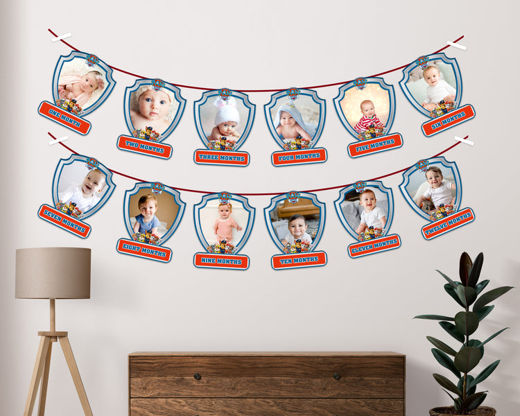 PAW PATROL party supplies decorations Party supplies online india Party Supplies India