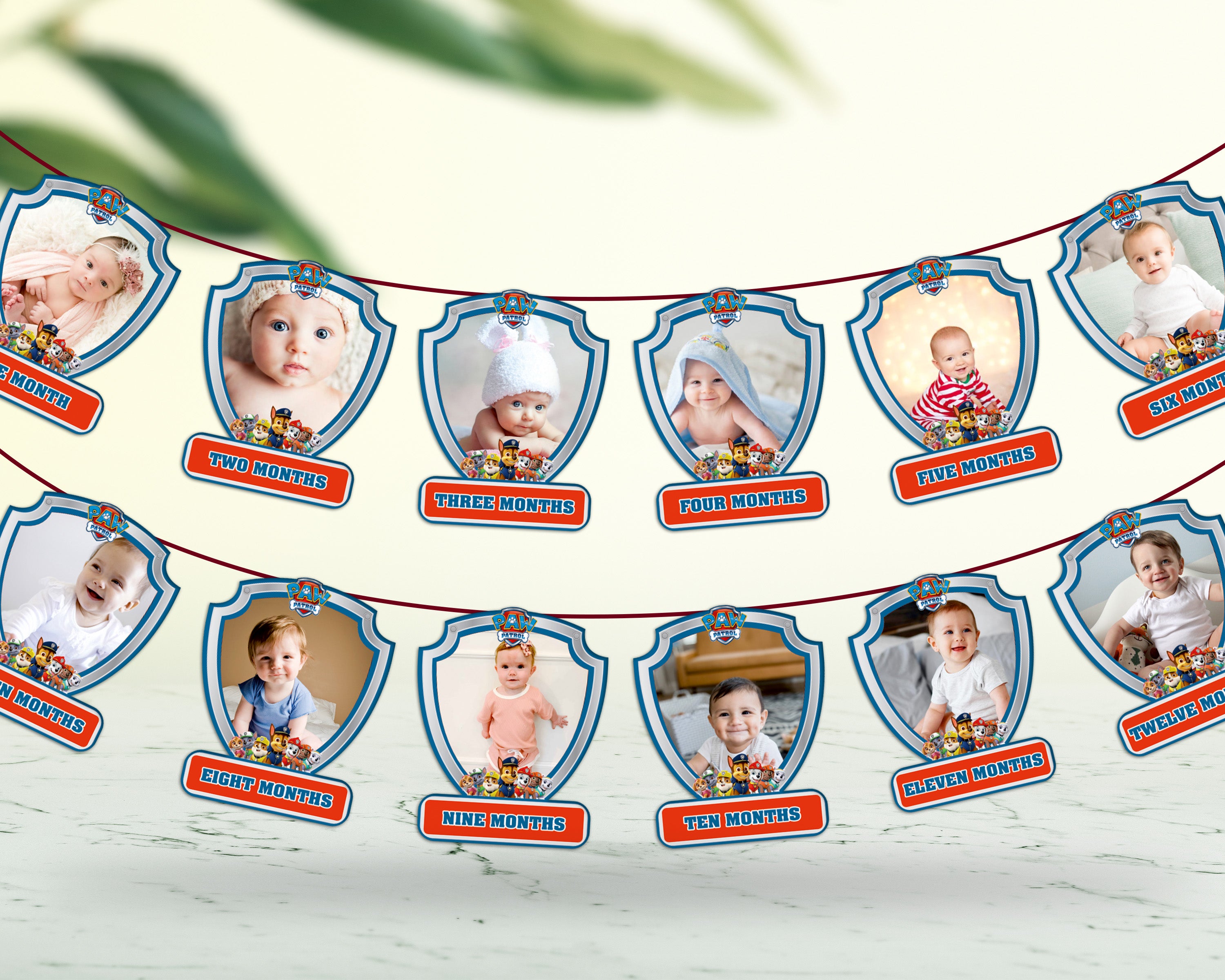 Paw Patrol  Theme 12 Months Banner