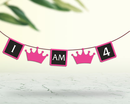 PSI Princess Theme Personalized with Baby Age Hanging