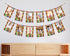 Super Mario Theme 12 Months Photo Banner - image 1 of 3 | Party Supplies India