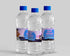 Aladdin Theme Water Bottle Sticker - image 1 of 3 | Party Supplies India