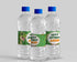 Dinosaur Theme Water Bottle Sticker - image 1 of 3 | Party Supplies India