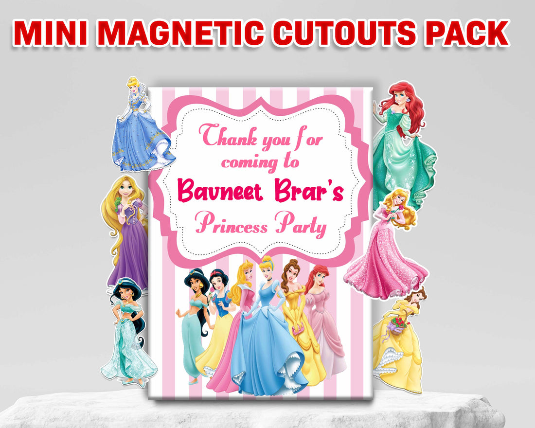 Princess Theme Mini Magnetic Return Gift Pack