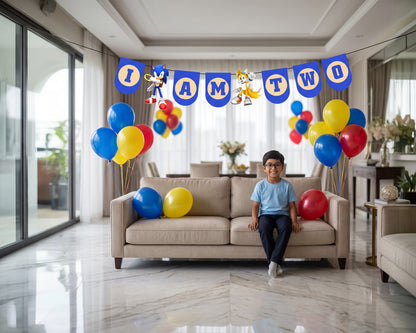 Sonic the Hedgehog Theme Age Hanging - party decor photo | Party Supplies India