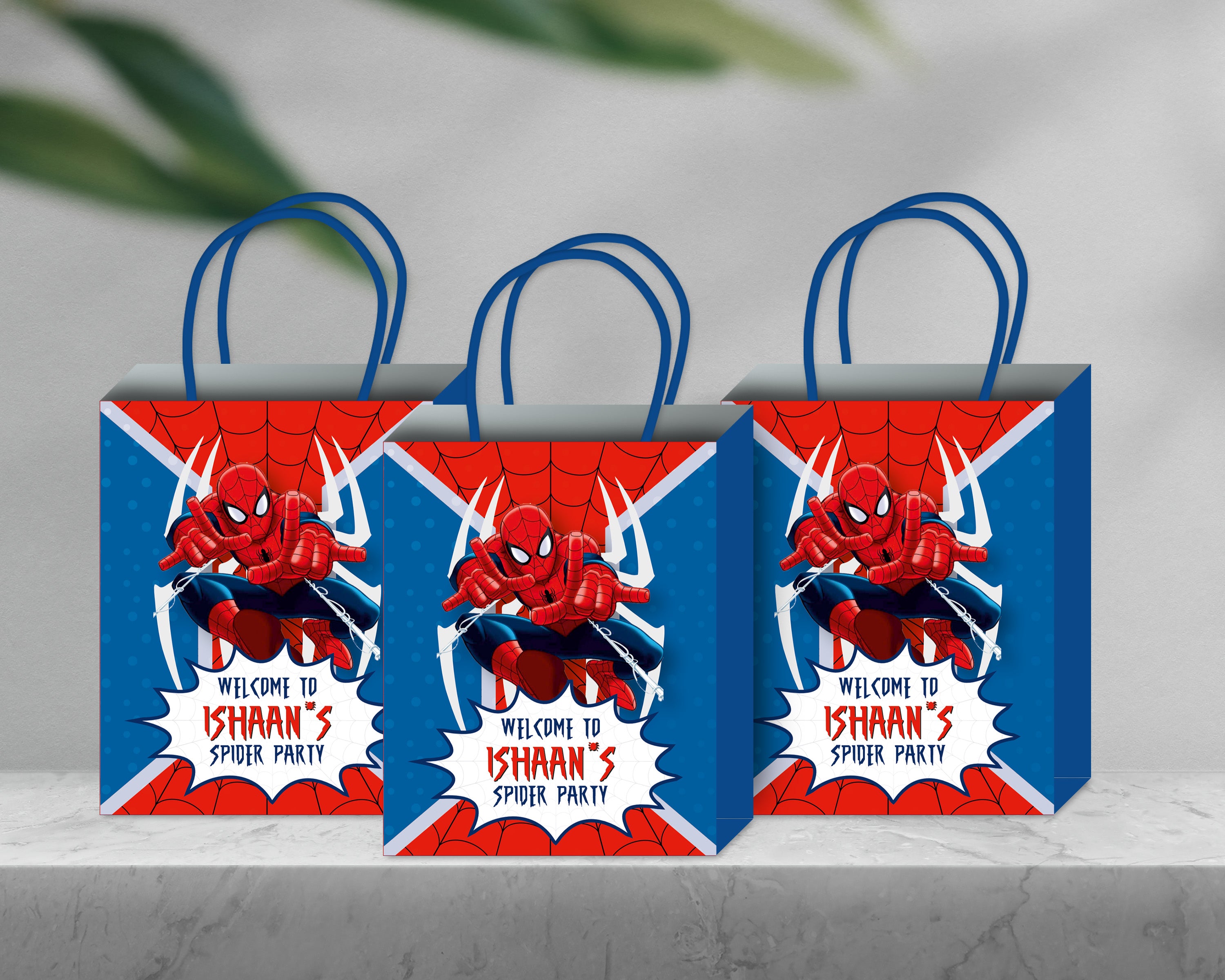 Spiderman  Theme Return Gift Bag