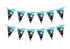Thomas and Friends Theme Flag Bunting - image 1 of 3 | Party Supplies India
