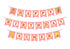 Fruits Theme Personalized Hanging - image 1 of 3 | Party Supplies India