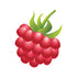 Fruits Theme Cutout FRT-26 - image 1 of 3 | Party Supplies India