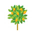 Fruits Theme Cutout FRT-02 - image 1 of 3 | Party Supplies India