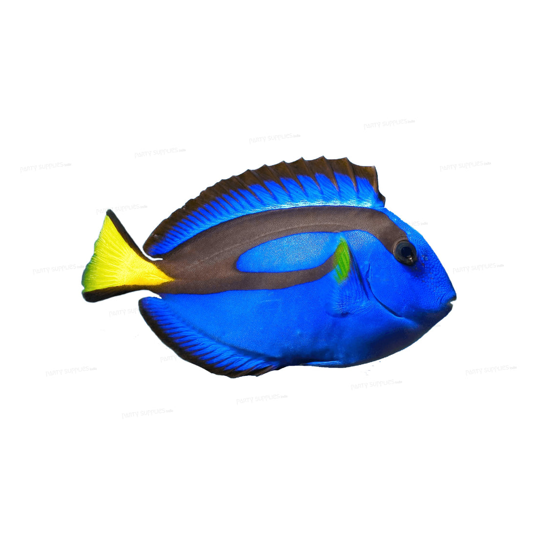 Nemo and Dory Theme Cutout NMD-17