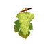 Fruits Theme Cutout FRT-12 - image 1 of 3 | Party Supplies India