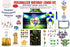Football Theme Premium Combo Kit - image 1 of 23 | Party Supplies India