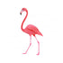 Flamingo Theme Cutout FLM-06 - image 1 of 3 | Party Supplies India