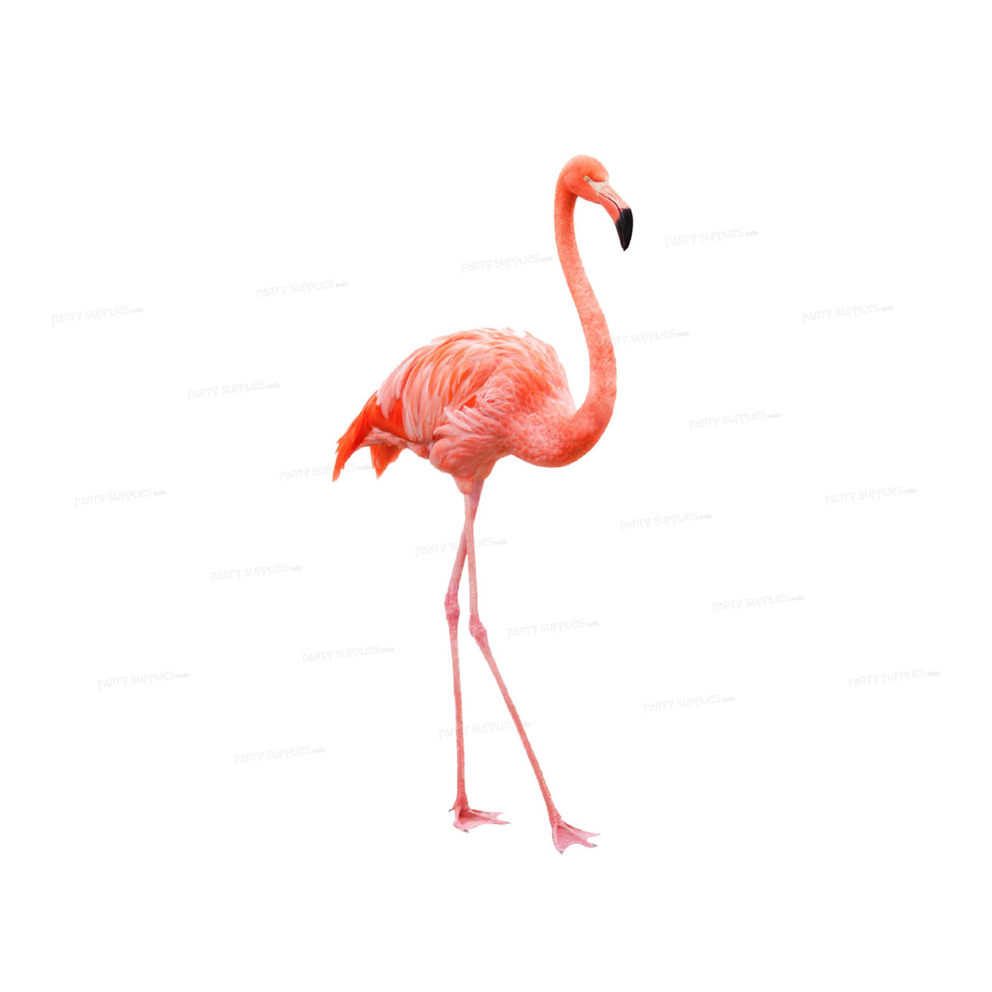 Flamingo Theme Cutout FLM-04