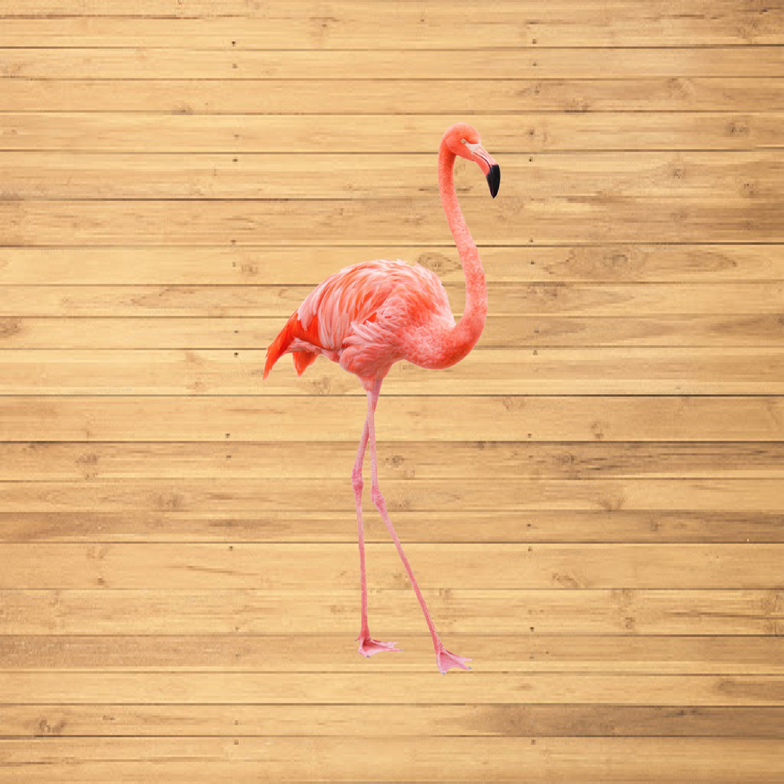 PSI Flamingo Theme Cutout - 04