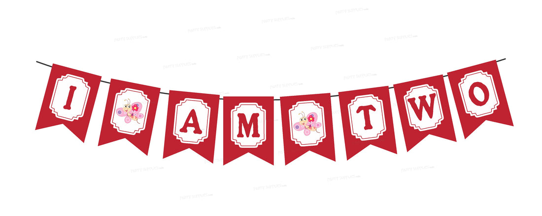 Butterfly Theme Baby Age Hanging