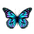 Butterfly Theme Cutout BFY-02 - image 1 of 3 | Party Supplies India