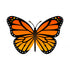 Butterfly Theme Cutout BFY-04 - image 1 of 3 | Party Supplies India