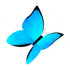 Butterfly Theme Cutout BFY-07 - image 1 of 3 | Party Supplies India